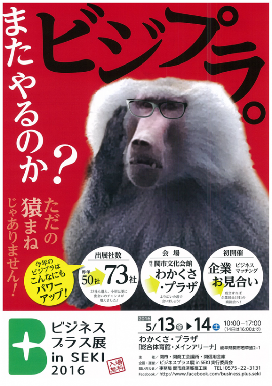 bijipru-537x760